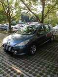 Peugeot 307sw