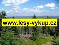 Koupíme lesy, celá ČR